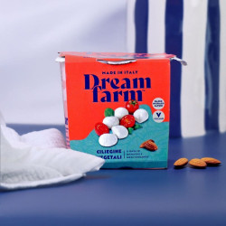 mozarella mini billes dream farm