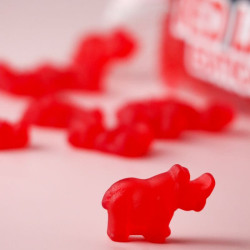 bonbon katjes edition red list