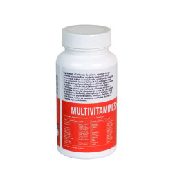 multivitamines mineraux veglab