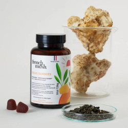french mush gummies focus