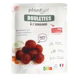 boulettes végétales indienne 200g