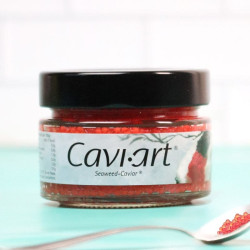 Cavi-Art sans saumon