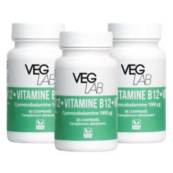 lot vitamine B12 veglab 3x60 comprimes
