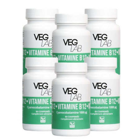lot vitamine B12 veglab 6x60 comprimes
