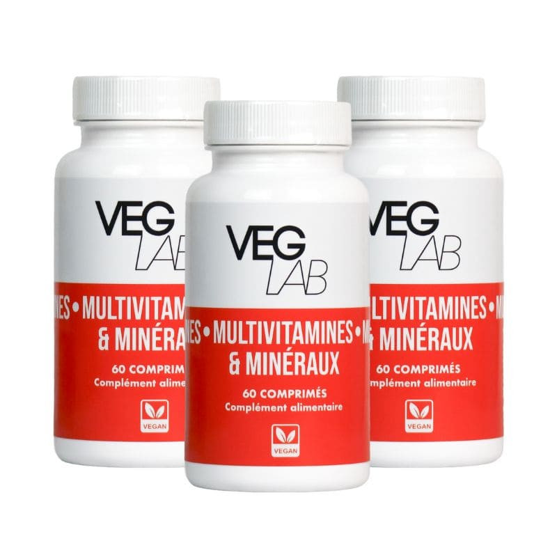 lot mutivitamines mineraux veglab 3x60 comprimes