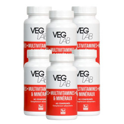lot mutivitamines mineraux veglab 6x60 comprimes
