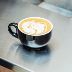 sproud lait au pois barista