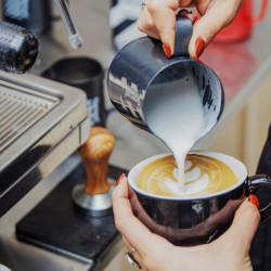 sproud lait au pois barista zero