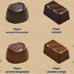leonidas grand ballotin chocolat vegan