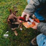 batonnets a macher xl vegdog chevvies