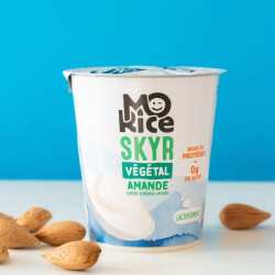 skyr vegetal sans sucres mo rice