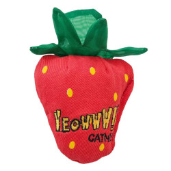 strawberry original herbe à chat yeowww