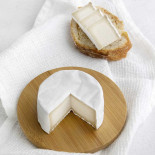 Jay Joy Joséphine Jay Joy Joséphine