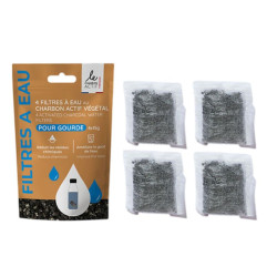 filtre à gourde au charbon végétal le charbon actif français x4
