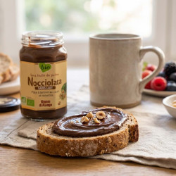nocciolata sans lait tartine