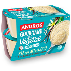 riz au lait andros