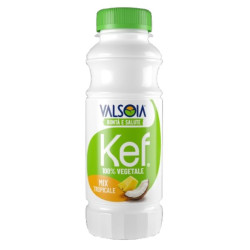 Kéfir Mix Tropical - 250 ml  Valsoia