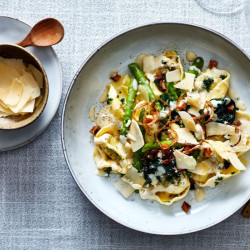 Parmesan vegan copeaux