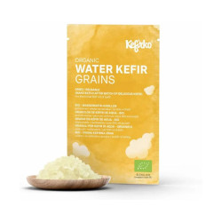 grains de kefir d eau Kefirko déshydratés