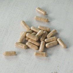 Levure de Bière (500 mg) x 60 gélules Veglab