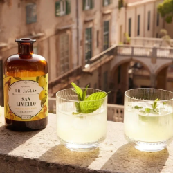 san limello dr jaglas limoncello sans alcool