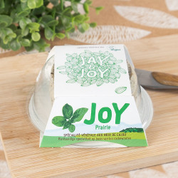 Joy Jay and Joy