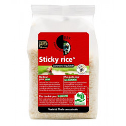 riz gluant bio autour du riz