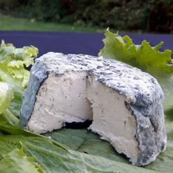 TyK Pebeyec vegan