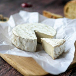 cammvert sauge Tomm Pousse cammvert sauge Tomm Pousse