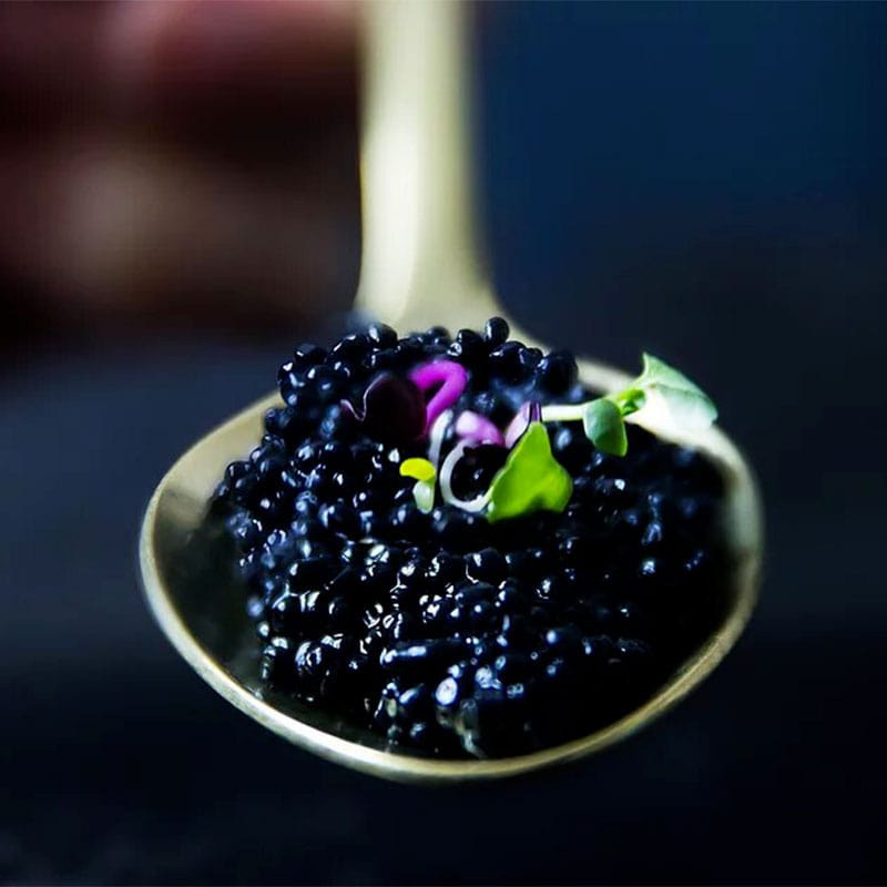 Umiami sans caviar