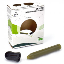 crayon Ocni basilic