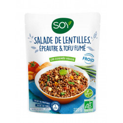 salade lentilles épeautre tofu fumé Soy