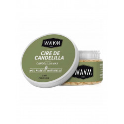 cire de candelilla Waam