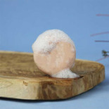 shampoing endro au granit rose