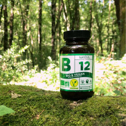 Natesis b12 bio vegan