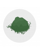 Chlorella