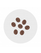 Cafés & Cacao