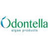 ODONTELLA