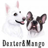 DEXTER ET MANGO