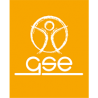 GSE